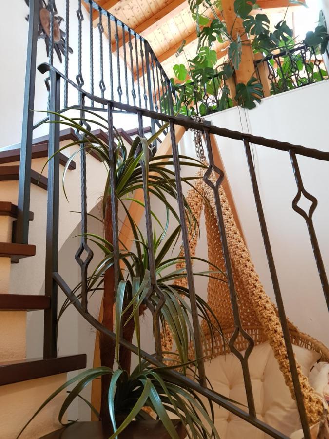 Hotel Europa Guest House Зас-Фе Экстерьер фото